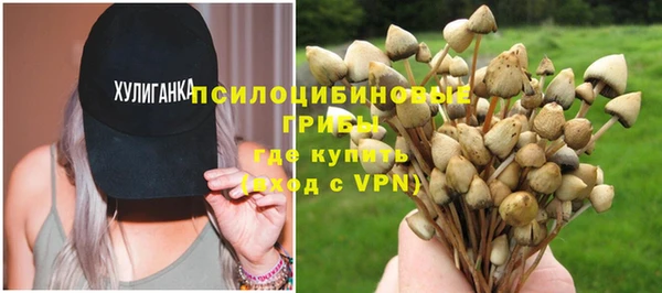 первитин Лиски