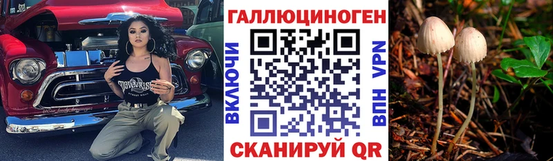 Купить где  Бобров  Псилоцибиновые грибы мухоморы 